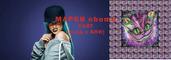 гашик Богданович